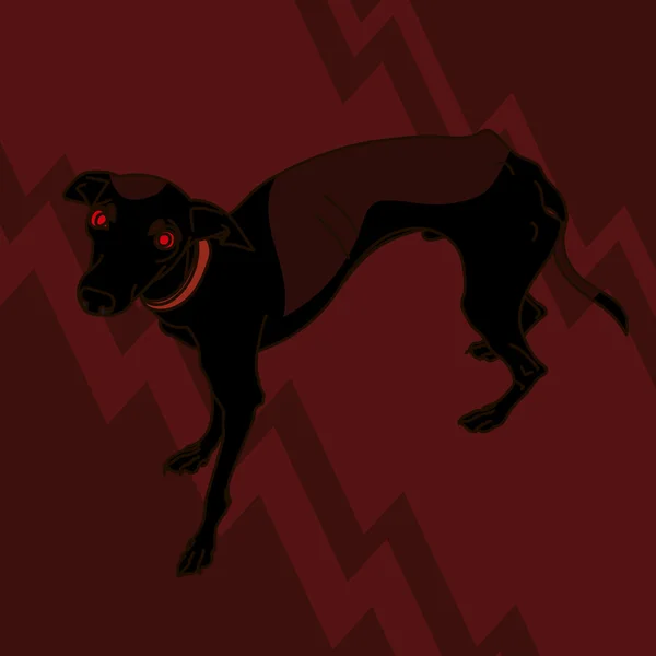 Bild med arga italiensk vinthund — Stockfoto