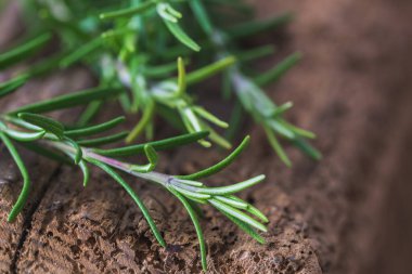 Eski ahşap üzerine biberiye dallarının yakın çekimi