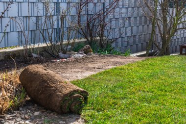 Bir evin bahçesinde çimenlikle kaplanacak son şerit.