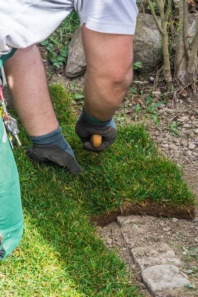 Man Cutting Protruding Edge Newly Laid Turf Garden Knife Vertical — Stock Photo, Image