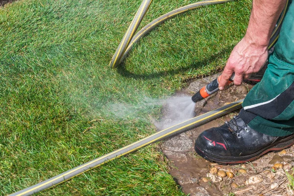 Gardener Watering Edge Freshly Laid Turf Hose — Stock Photo, Image