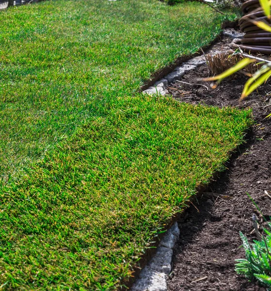 Newly Laid Turf Still Has Cut Bed Edges — Stock Photo, Image