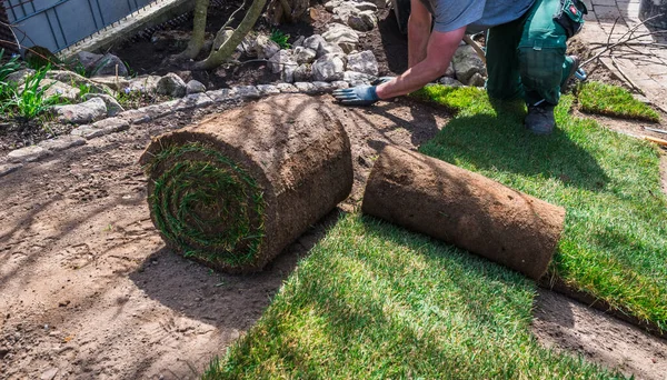 Gardener Laying Turf Home Garden Sloping Terrain — Stock Photo, Image