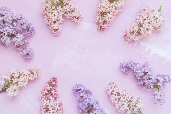 Flores Lila Púrpura Rosa Sobre Fondo Rosado Flores Primavera Espacio — Foto de Stock