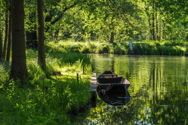 Almanya 'nın Brandenburg eyaletinde, Biyosfer rezervinde (Spreewald) eski bir tekne bulunan su kanalı..