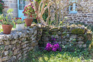 Doğal bahçedeki saksılarda bahçeli taş duvar.
