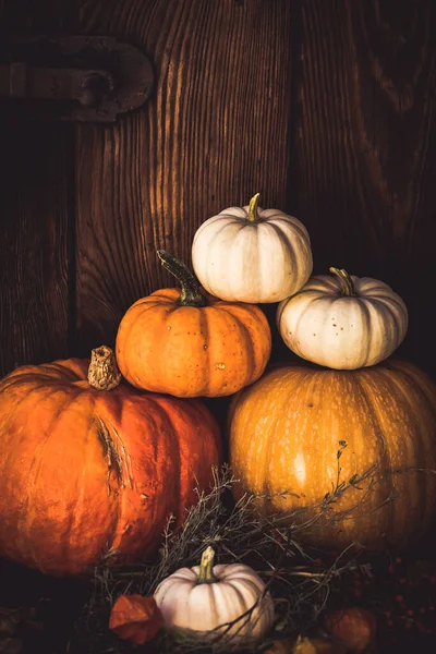 Skládané Dýně Různých Velikostí Barev Podzimní Výzdobou Před Dřevěnou Stěnou — Stock fotografie