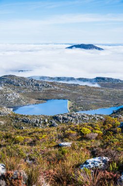 Table Dağı 'nın tepesindeki manzara, Cape Town, Güney Afrika, bulutlarla çevrili, dikey