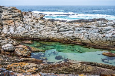 Güney Afrika 'daki Tsitsikamma Ulusal Parkı' nda. Korunaklı bölge. Bahçe yolu.