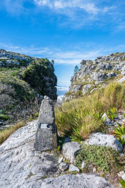 Table Dağı 'nın tepesindeki manzara, Cape Town, Güney Afrika, dikey