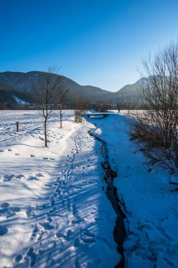 Alman Alpleri 'ndeki bir derenin yanındaki kış manzarası, dikey.