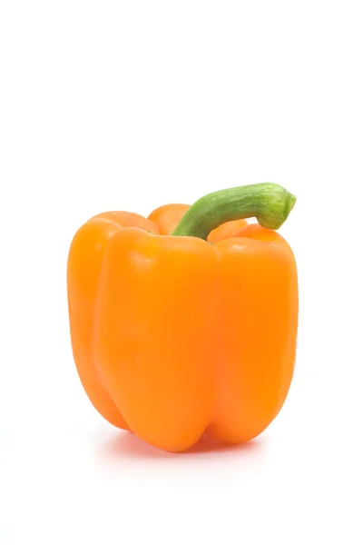 Oranje peper met de groene staart — Stockfoto