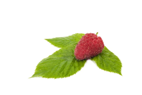 Berry yeşil kağıda beyaz bir arka plan üzerinde izole bir ahududu