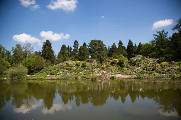 Estanque en jardín botánico, cielo azul —  Fotos de Stock