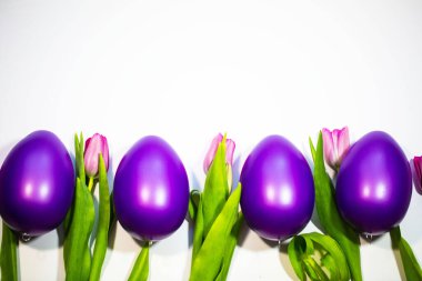 Beyaz arka planda laleleri olan Paskalya yumurtaları