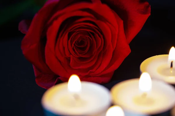 Rose with candles, red background