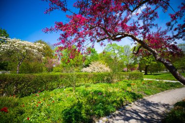 İlkbaharda Münih 'te Westpark, mavi gökyüzü