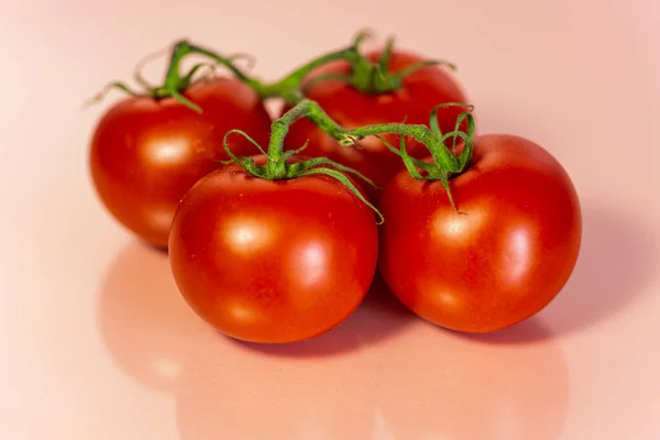 Tomates Fundo Rosa — Fotografia de Stock