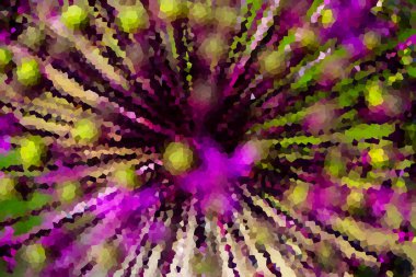 Süslü soğan, süslemeli soğan makro shot.