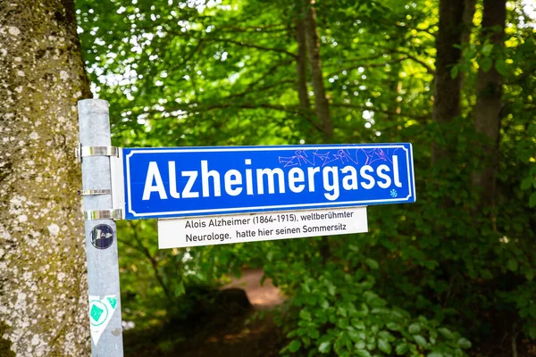 Alzheimer Gassl Κυκλική Διαδρομή Στο Welinger See Τόπος Κατοικίας Του — Φωτογραφία Αρχείου