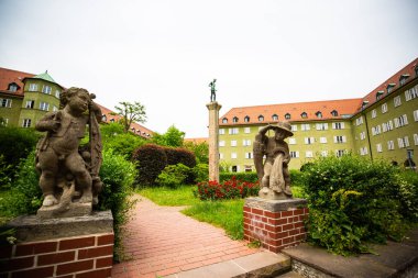 Borstei 'de yeşil bir yol, güllerle