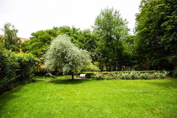 Borstei Uma Propriedade Imobiliária Listada Distrito Munique Moosach Jardim Borstei — Fotografia de Stock