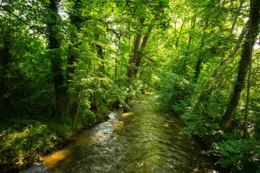 Münih 'ten Wrm River, wuerm