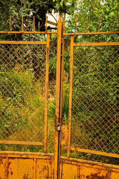 被忽视的花园前面的铁门 — 图库照片