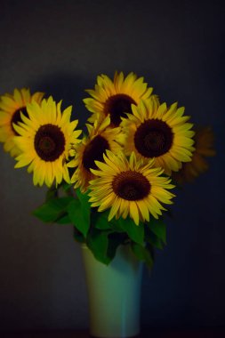 Vazodaki ayçiçekleri, gri arkaplan