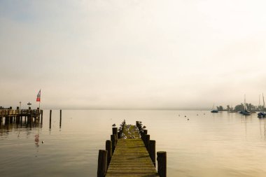Martılar Ammersee 'deki iniş sahnesinde, sabah havasında.