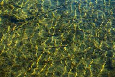 Güneş Işığı Yansımaları ve Dalgalanma Örnekleri ile Genç Göl 'ün Kristal Net Suyu