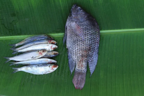 Индийская Рыба Сардин Рыба Тилапия Зеленом Банане — стоковое фото