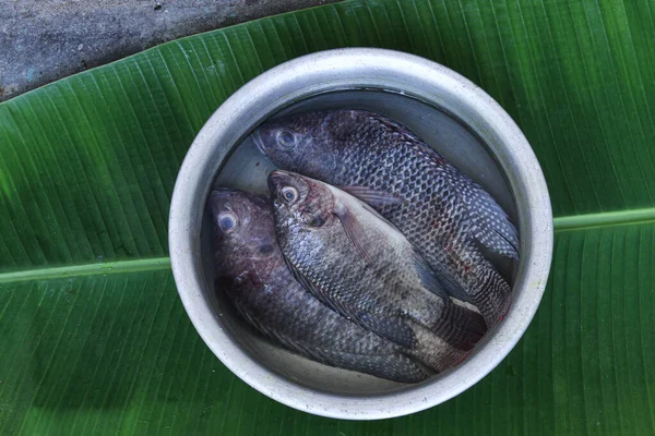 Frischer Tilapia Fisch Auf Grünem Bananenblatt Selektiver Themenfokus — Stockfoto