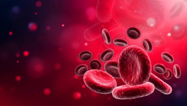 Kan akışının 3D çizimi