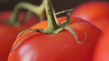Güzel kırmızı domatesler, su damlaları makro video. Organik yiyecekler ve çiftlik yemekleri için taze ıslak sağlıklı domates..