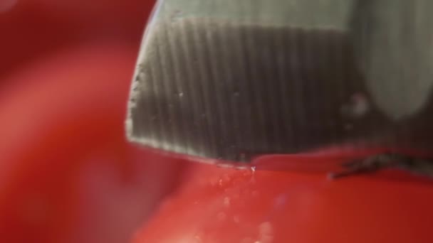 Corte hermoso tomate rojo con cuchillo de cocina, gotas de agua macro video. Tomate fresco húmedo y saludable para comer y cocinar en una granja ecológica — Vídeos de Stock