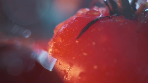 Hermosos tomates rojos, gotas de agua macro video. Tomate fresco húmedo y saludable para comer y cocinar orgánicamente desde la granja. — Vídeos de Stock