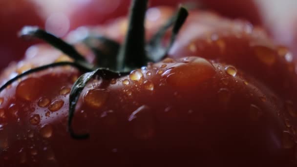 Güzel kırmızı domatesler, su damlaları makro video. Organik yiyecekler ve çiftlik yemekleri için taze ıslak sağlıklı domates.. — Stok video