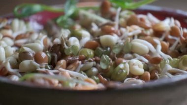  Mikroçim ve kabuklu tanecikler su akıntısı ile, yakın çekim yavaş çekim. Sağlıklı çiğ vegan organik gıda konsepti