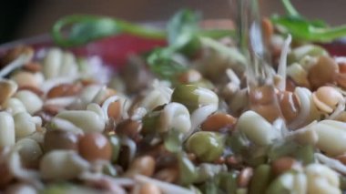  Mikroçim ve kabuklu tanecikler su akıntısı ile, yakın çekim yavaş çekim. Sağlıklı çiğ vegan organik gıda konsepti
