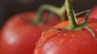 Güzel kırmızı domatesler, su damlaları makro video. Organik yiyecekler ve çiftlik yemekleri için taze ıslak sağlıklı domates..