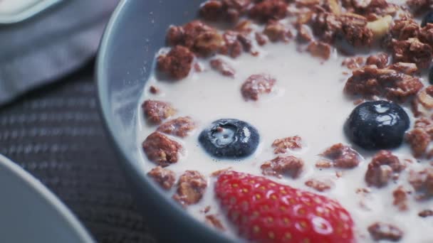 Chute de fraise dans du lait ou du yogourt bio naturel dans un bol en céramique avec du granola sain et mélange de fruits et de baies bio frais. — Video