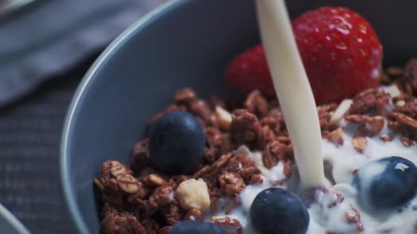 Налить натуральное органическое молоко или йогурт в керамическую миску со здоровым мюсли и смесью свежих органических фруктов и ягод. — стоковое видео