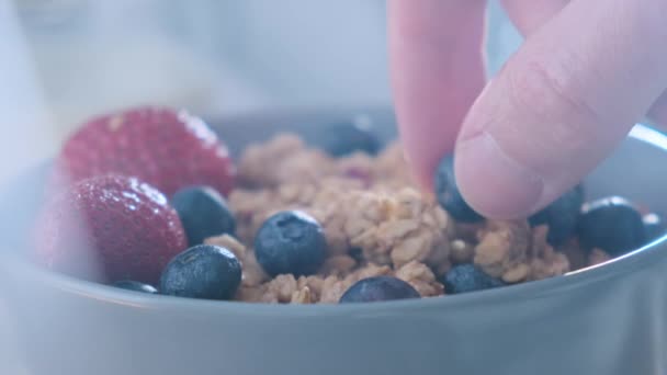 Añadir bayas frescas de arándano en la granola muesli saludable. Desayuno saludable granola de avena con arándanos, fresas y leche. — Vídeo de stock