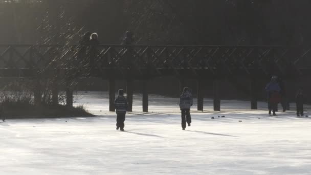 凍った川の氷の上を歩いて楽しむ幸せな子供たち。雪の中で輝くバックライトの太陽. — ストック動画