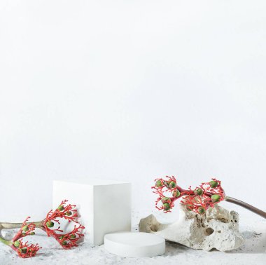 Kozmetik ürünler için arka plan. Geometrik şekilli beyaz beton sahne ve kırmızı egzotik çiçek. Beton yuvarlak beyaz podyum. Ürün sunumu için boş bir vitrin. Kalıbı düzenle