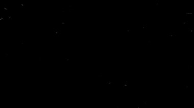 Geceleri bir sürü böcek uçar. Birçok Mayıs böceği siyah arka planda uçar.