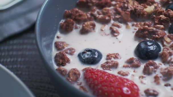 Falling strawberry in natural organic milk or yogurt into ceramic bowl with healthy granola and mix of fresh organic fruits and berries. — Stock Video