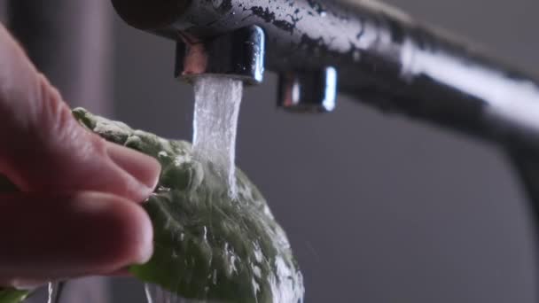 La mano masculina sostiene hojas de ensalada verde fresca vierte en la corriente de agua de, vista de cerca en cámara lenta. — Vídeo de stock