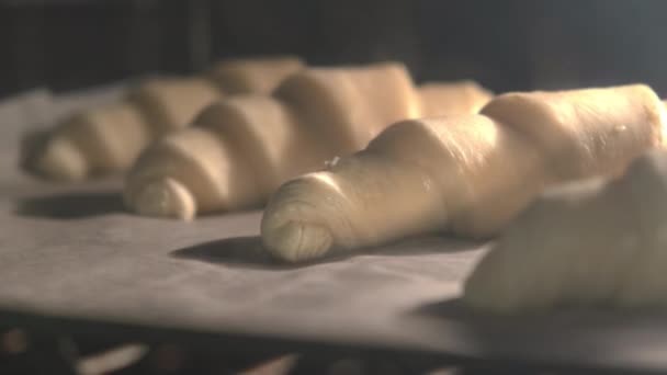 Круассаны, выпекающие внутри печи. Время приготовления домашних круассанов в духовке — стоковое видео